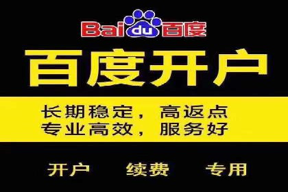 某电商企业如何通过百度竞价广告提升销售额
