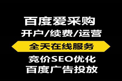 成功托管SEM竞价，实现品牌快速曝光